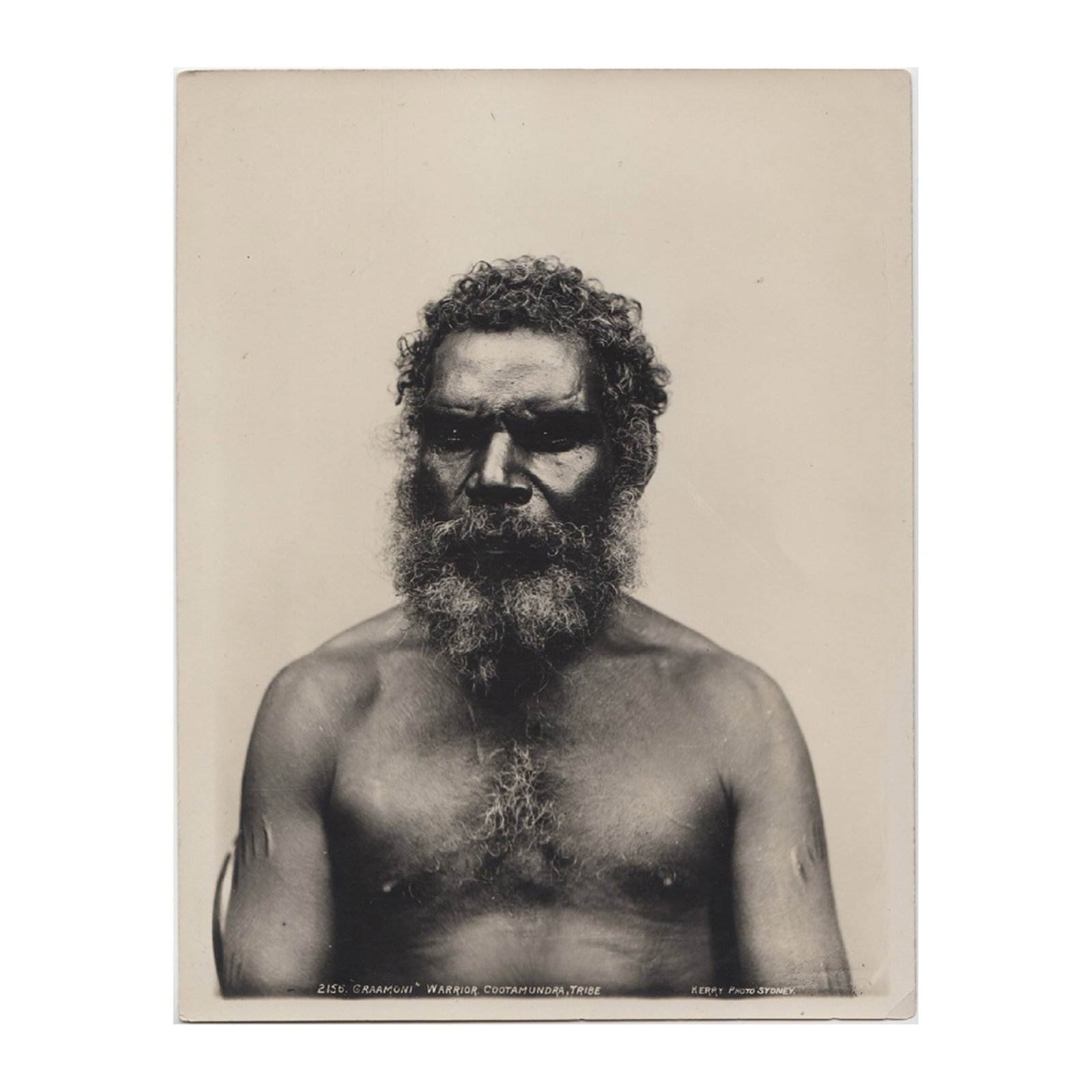 Charles Kerry Sepia Photograph '2156 / 'GRAAMONI' WARRIOR. COOTAMUNDRA, TRIBE/KERRY. PHOTO. SYDNEY.: An early reprint from the original 'Kerry' glass negative. The sepia reprints are likely the working stock of the Kerry Studio that Tyrell acquired along with the original glass negatives. Stamped on