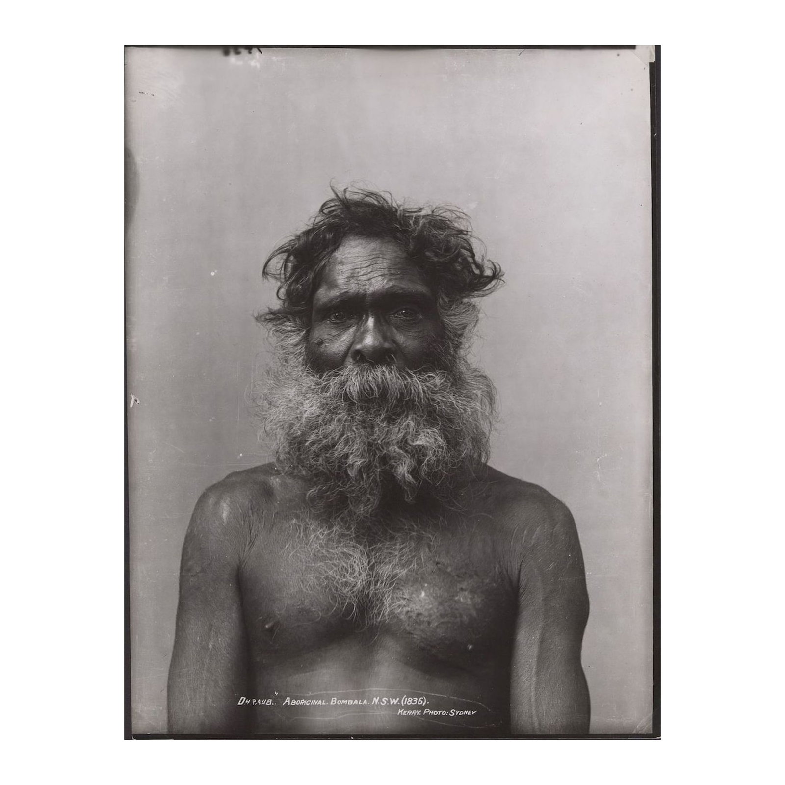 Charles Kerry Black & White Photo (1836) 'DHRAUB' ABORIGINAL. BOMBALA N.S.W. / KERRY. PHOTO SYDNEY: Reprint c.1935 by James Tyrell from the original 'Kerry' glass negative. Stamped on back 'TYRRELL'S / 281 GEORGE ST. / (OPP. HUNTER ST.) / SYDNEY.' Size 21.3 x 16.3cms Condition Extremely Fine