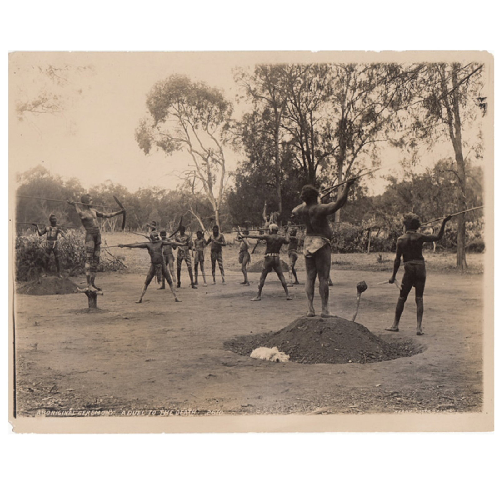Charles Kerry Sepia Photo '2610 / ABORIGINAL CEREMONY. A DUEL TO THE DEATH / KERRY. PHOTO. SYDNEY.: An early reprint from the original 'Kerry' glass negative. The sepia reprints are likely the working stock of the Kerry Studio that Tyrell acquired along with the original glass negatives. Stamped on