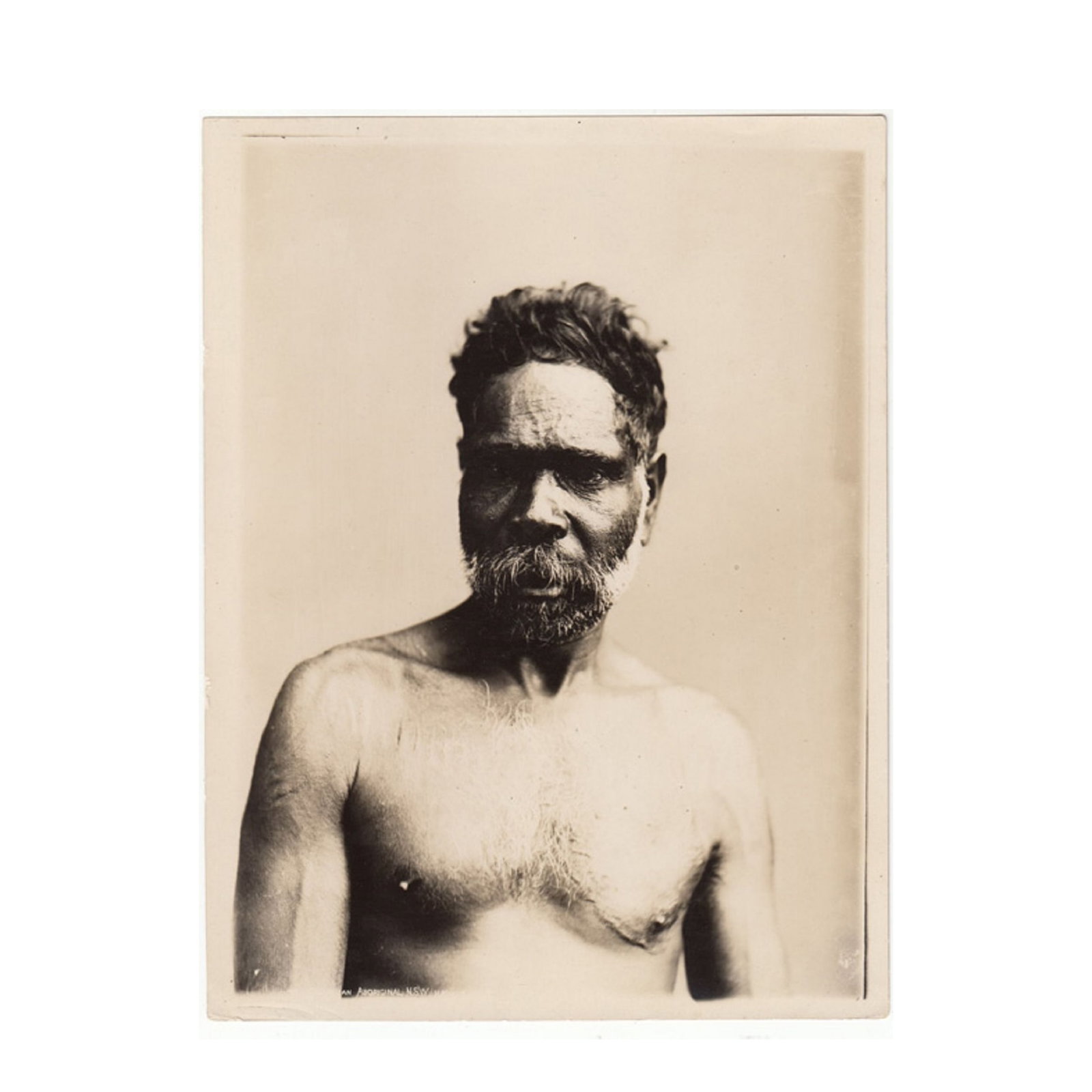 'Henry King' Sepia Photograph 'No. ? / AUSTRALIAN ABORIGINAL. N.S.W. / (H. KING. PHOT0. SYD.)': An early reprint from the original 'King' glass negative. The sepia reprints were likely the working stock of the King Studio that Tyrell acquired along with the original glass negatives. Stamped on t