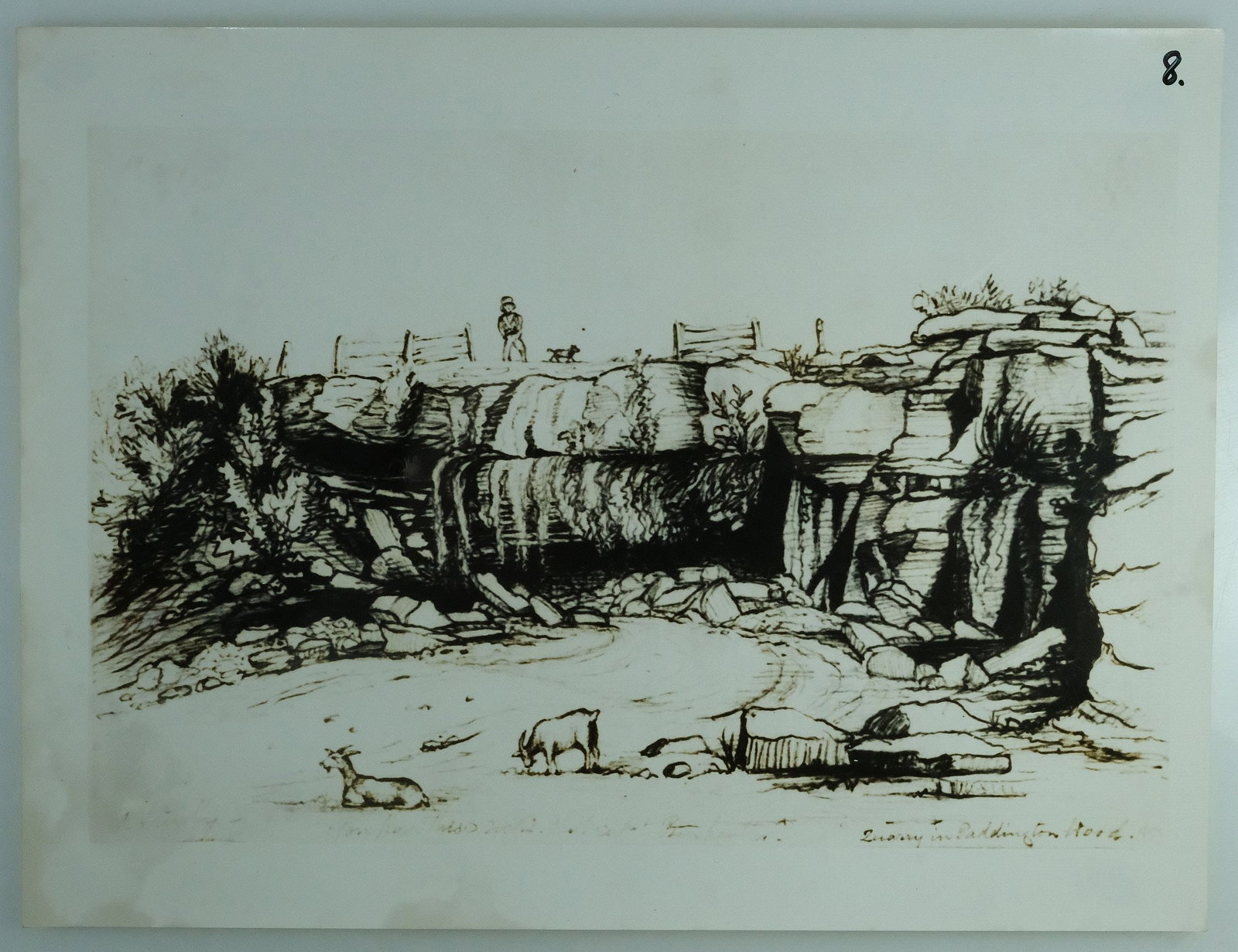 Early Photographs of Paddington, Sydney (8) - 5