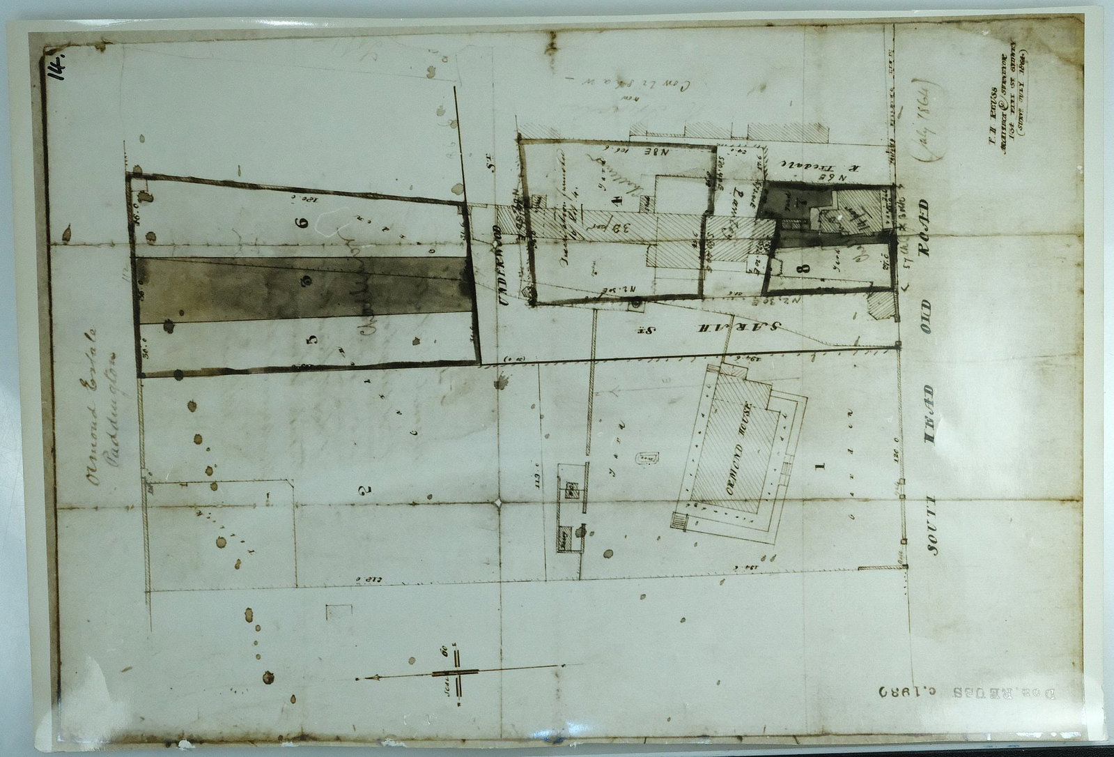Early Photographs of Paddington, Sydney (8) - 7