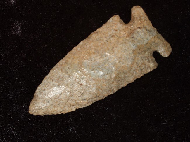3 1/8" Archaic Side Notch. Graves Co., KY Ex: Ca: 3 1/8" Archaic Side Notch. Graves Co., KY Ex: Caldwell Cox COA