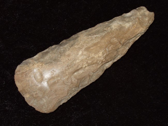 6" Polished Fort Payne Flint Celt. Grayson Co., K: 6" Polished Fort Payne Flint Celt. Grayson Co., KY Cox COA