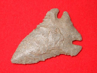 2" Fine Hornstone Pinetree - Hart Co., KY: 2" Fine Hornstone Pinetree - Hart Co., KY