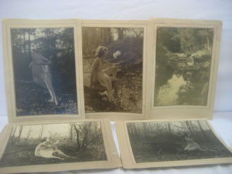 Collection of photographs by Mabel Britt, Norwood,: Collection of photographs by Mabel Britt, Norwood, Ohio, and a member of the Cincinnati Camera Club. In the Lingering Light; Does the Sun bid you fly?; The Dreamer's Pool; Calling the Leaves; and At t