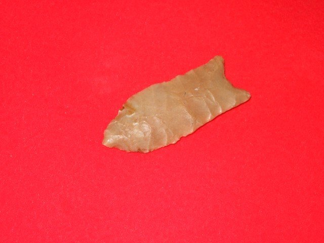 2 5/16" Carter Cave flint Quad found by Dwayne Tac: 2 5/16" Carter Cave flint Quad found by Dwayne Tackett in Fleming Co., KY