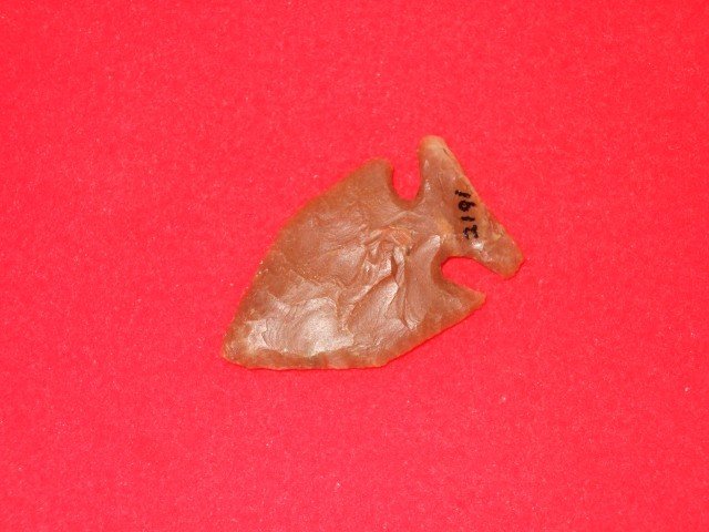 Fine 1 1/2" Carter Cave flint Jacks Reef Pentagona: Fine 1 1/2" Carter Cave flint Jacks Reef Pentagonal point, Madison Co., KY