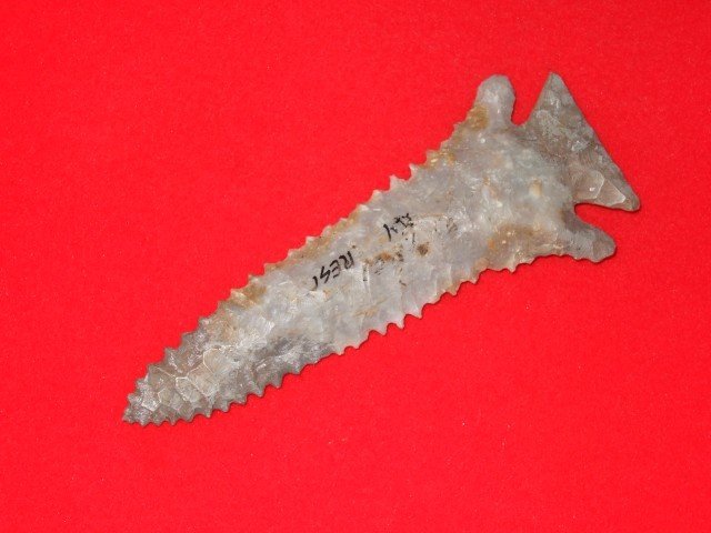 4 1/8" serrated Pinetree point, Bourbon Co., KY. : 4 1/8" serrated Pinetree point, Bourbon Co., KY. Has restoration to tip and tail.