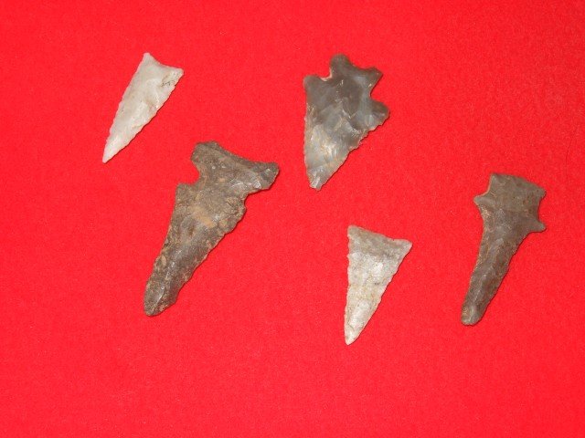 5 Points KY. Largest 2”: 5 Points KY. Largest 2”