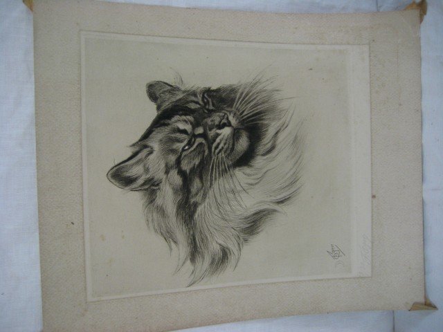 F. Oger drawing of a cat, 13/30, signed and number: F. Oger drawing of a cat, 13/30, signed and numbered lower left. Some discoloration, 13 3/8" x 16 3/8"