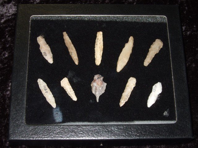 Frame of (10) micro drills, all found on Fort Ancie: Frame of (10) micro drills, all found on Fort Ancient sites by R. Walker. Largest is 1 9/16"