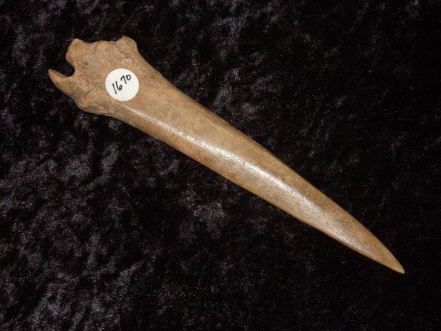 Very fine 6 1/16" polished bone dagger found by R.: Very fine 6 1/16" polished bone dagger found by R. Walker at the Ray Gully site in Adams Co., OH