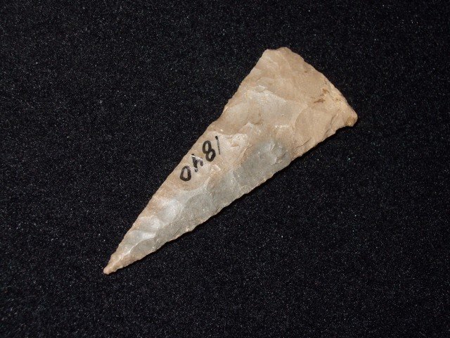 Fine 1 15/16" Boyles flint Fort Ancient triangle, Fox F: Fine 1 15/16" Boyles flint Fort Ancient triangle, Fox Field, Mason Co., KY.