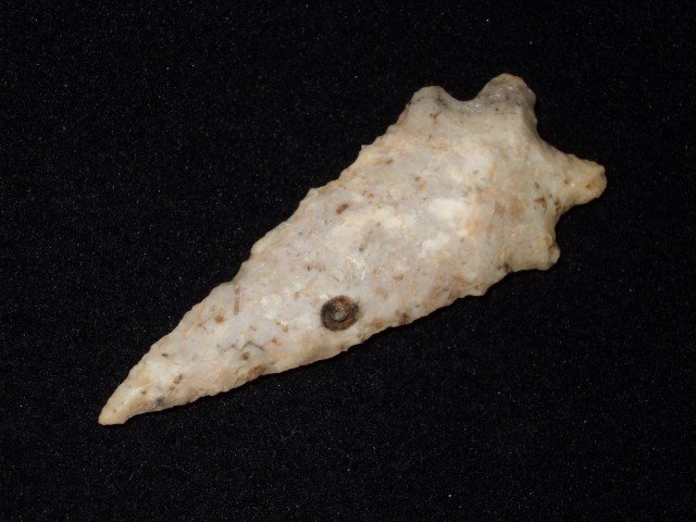 2 3/4" Boyles flint Kirk bifurcate: 2 3/4" Boyles flint Kirk bifurcate.