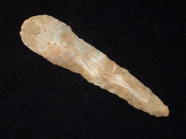 3 3/4" Boyles flint Turkeytail drill, Mason Co., KY: 3 3/4" Boyles flint Turkeytail drill, Mason Co., KY.