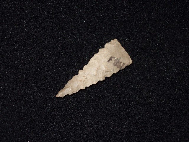 1 5/16" Boyles flint Fort Ancient triangle, Fox Field,: 1 5/16" Boyles flint Fort Ancient triangle, Fox Field, Mason Co., KY