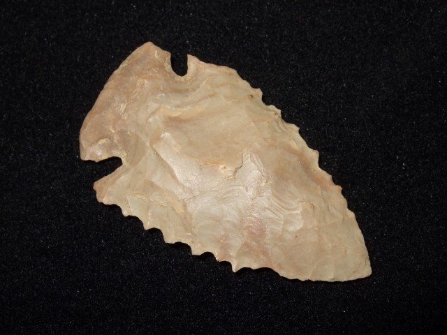 2 3/4" Carter Cave flint Dovetail, Mason Co., KY: 2 3/4" Carter Cave flint Dovetail, Mason Co., KY
