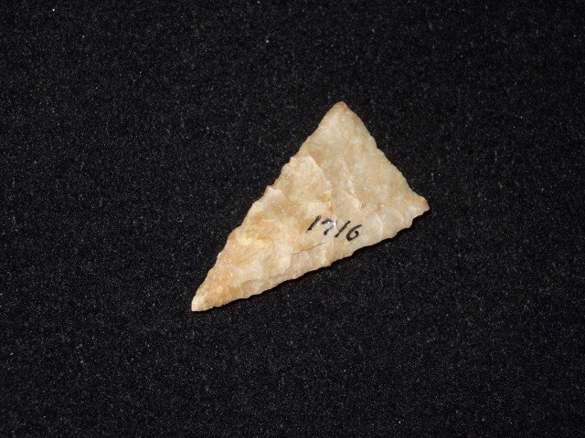 1 1/4" Boyles flint Fort Ancient triangle, Fox Field, M: 1 1/4" Boyles flint Fort Ancient triangle, Fox Field, Mason Co. KY