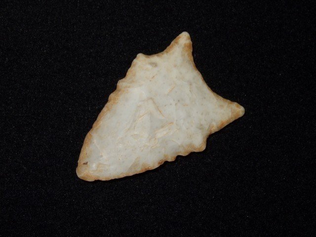 2" semi-translucent Texas/South Central Dalton point: 2" semi-translucent Texas/South Central Dalton point.
