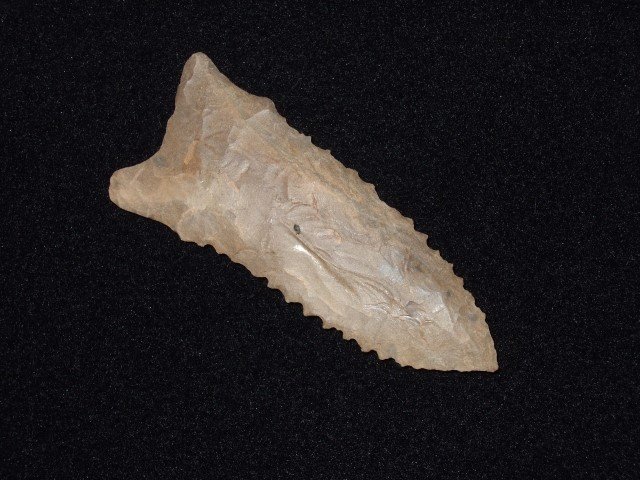 2 7/8" serrated Dover flint Dalton Nuckolls point: 2 7/8" serrated Dover flint Dalton Nuckolls point