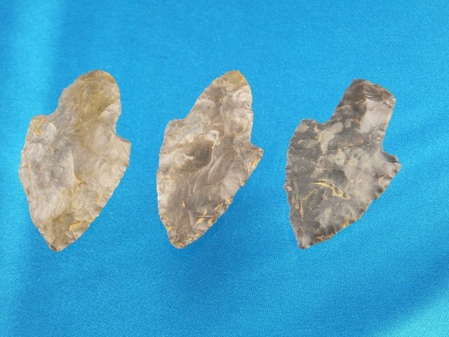 Group with 2 nice Turkeytail and Adena Robins points, K: Group with 2 nice Turkeytail and Adena Robins points, KY, 2 3/4"