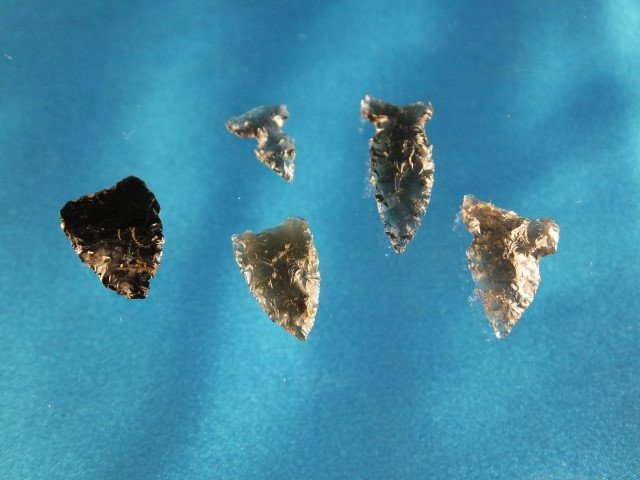 Group of 5 Obsidian bird-type points, largest is 7?8": Group of 5 Obsidian bird-type points, largest is 7?8"