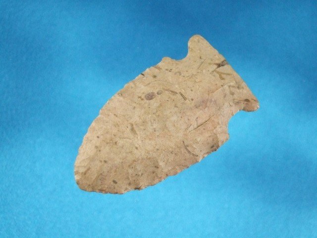 1 3/4" Savage Cage point, AR: 1 3/4" Savage Cage point, AR