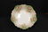 RS Germany rose decorated bowl with scalloped rim, 9