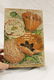Mitchell's Improved Perforated Belladonna Plasters box, - 4