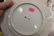 Grouping of Oriental porcelains: 6 1/2" X 5 1/4" oval - 6