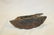 Boston Terrier cast iron door stop, app. 10" tall - 3