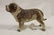 Saint Bernard cast iron door stop, minor paint loss