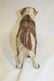 Saint Bernard cast iron door stop, minor paint loss - 4