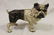 Cast iron Bulldog bank, some paint loss, app. 6" at ear