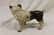 Cast iron Bulldog bank, some paint loss, app. 6" at ear - 3