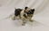 Cast iron Bulldog bank, some paint loss, app. 6" at ear - 4