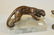 Setters bookend (chalk or plaster; bronze figure of a l - 2
