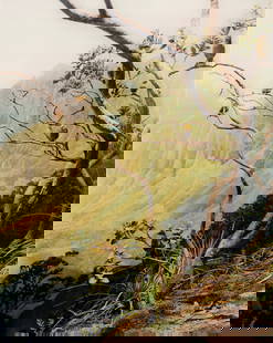 Braas, Sonja: Braas, SonjaSiegen, 196850 x 40 cm, o. R."You are here # 16", 1998. C-print on cardboard, under plexiglass. Signed, dated and numbered 40/40.Collection, Nordrhein-Westfalen.Braas, SonjaSiegen, 196850