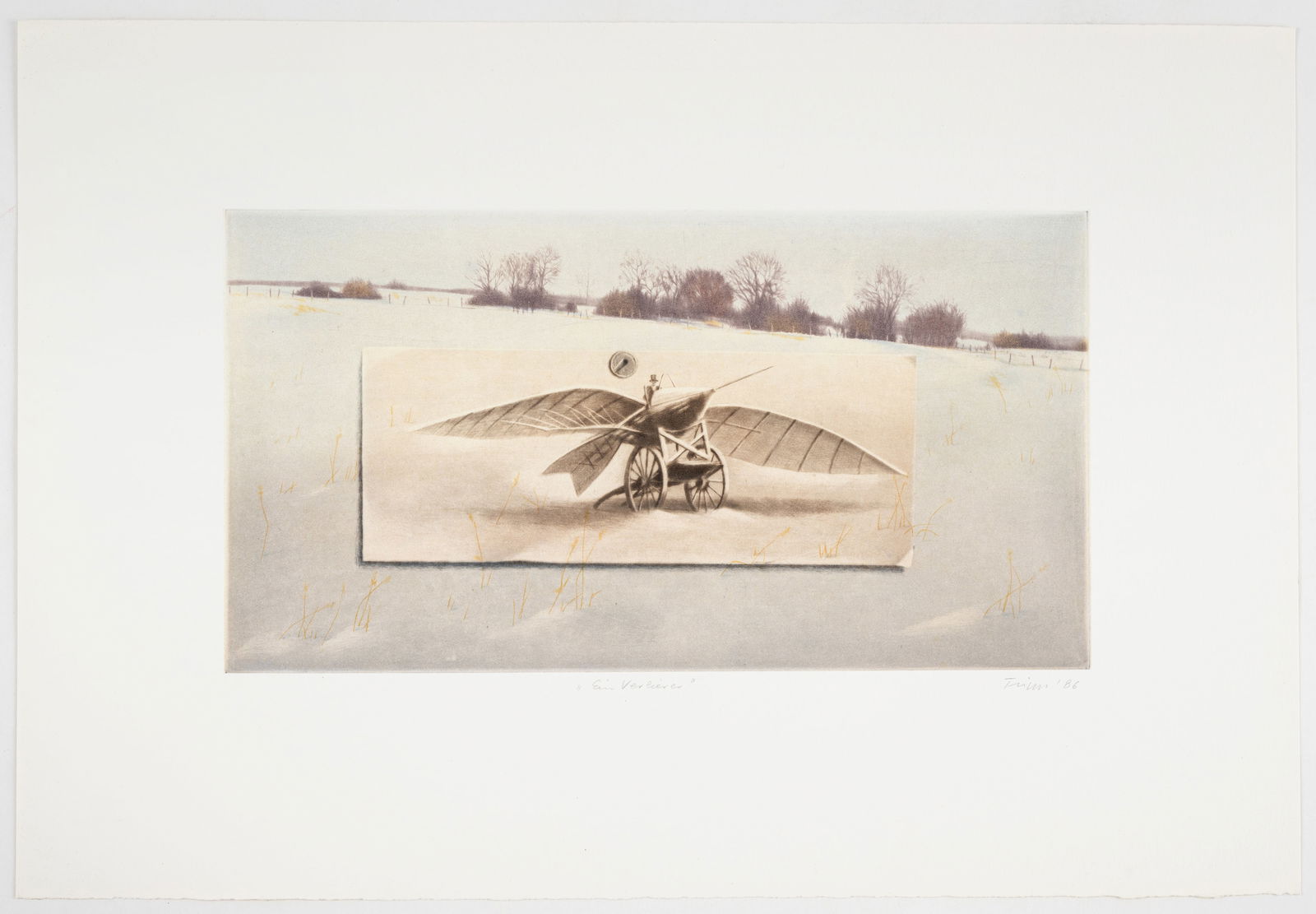 Tripp, Jan Peter - 2