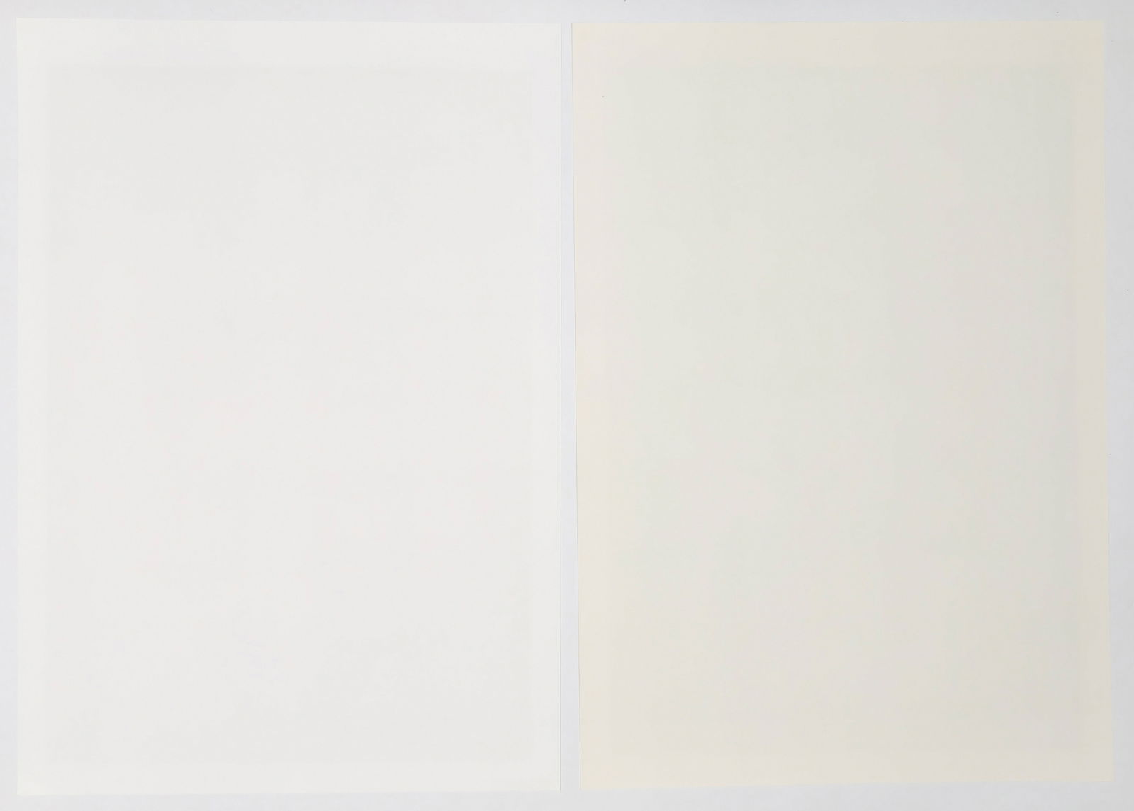 Portfolio: "Mona 2000" - 4