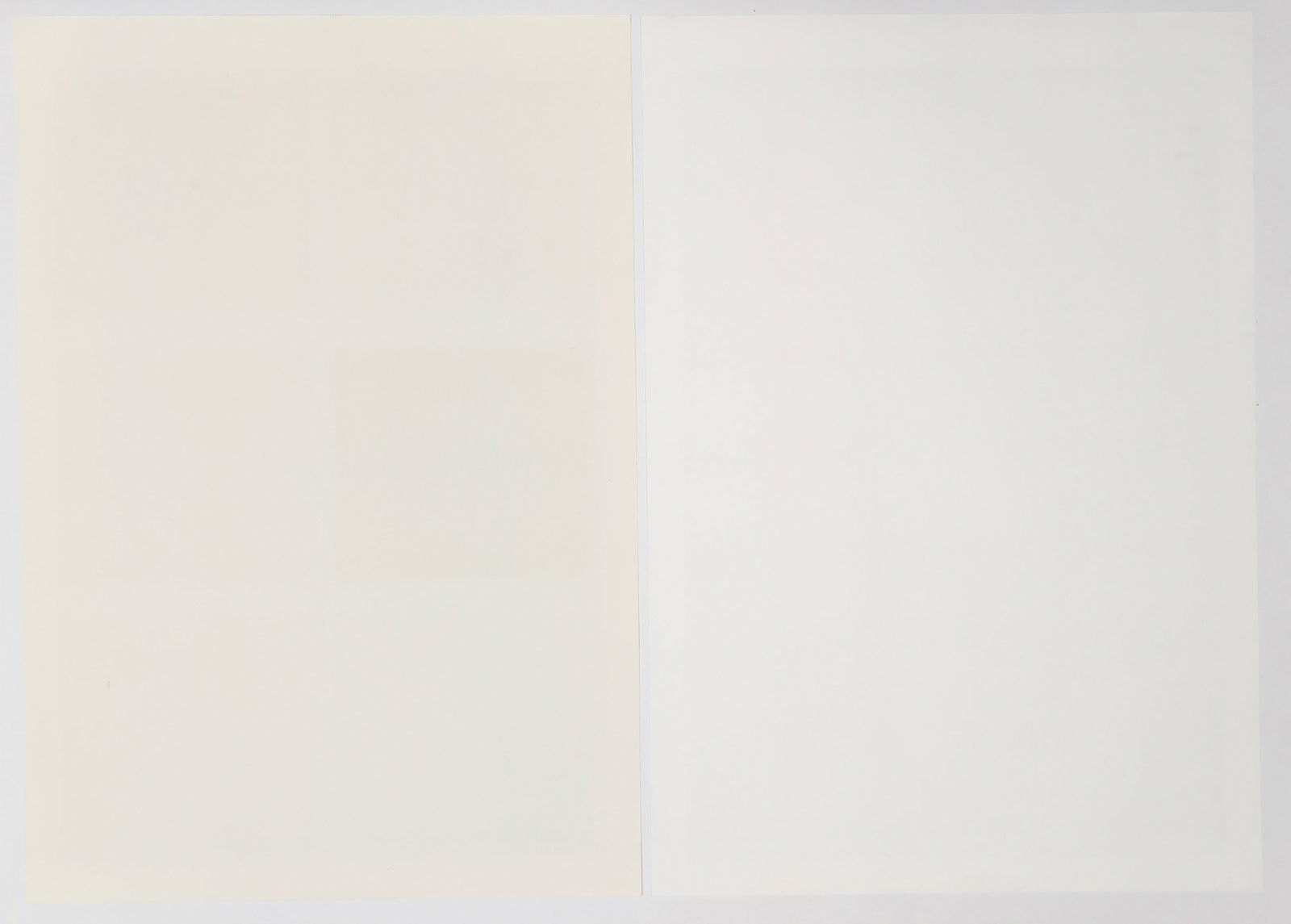 Portfolio: "Mona 2000" - 6