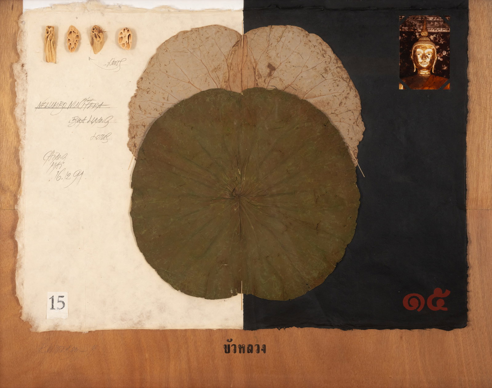 Wittenborn, Rainer: Wittenborn, Rainer Berlin, 1941 69 x 89 cm, R. "Plants and Heads - a siamese Herbarium", 1994. Mixed media and collage on mulberry paper, mounted on wood. Signed and dated. Corporate collection,
