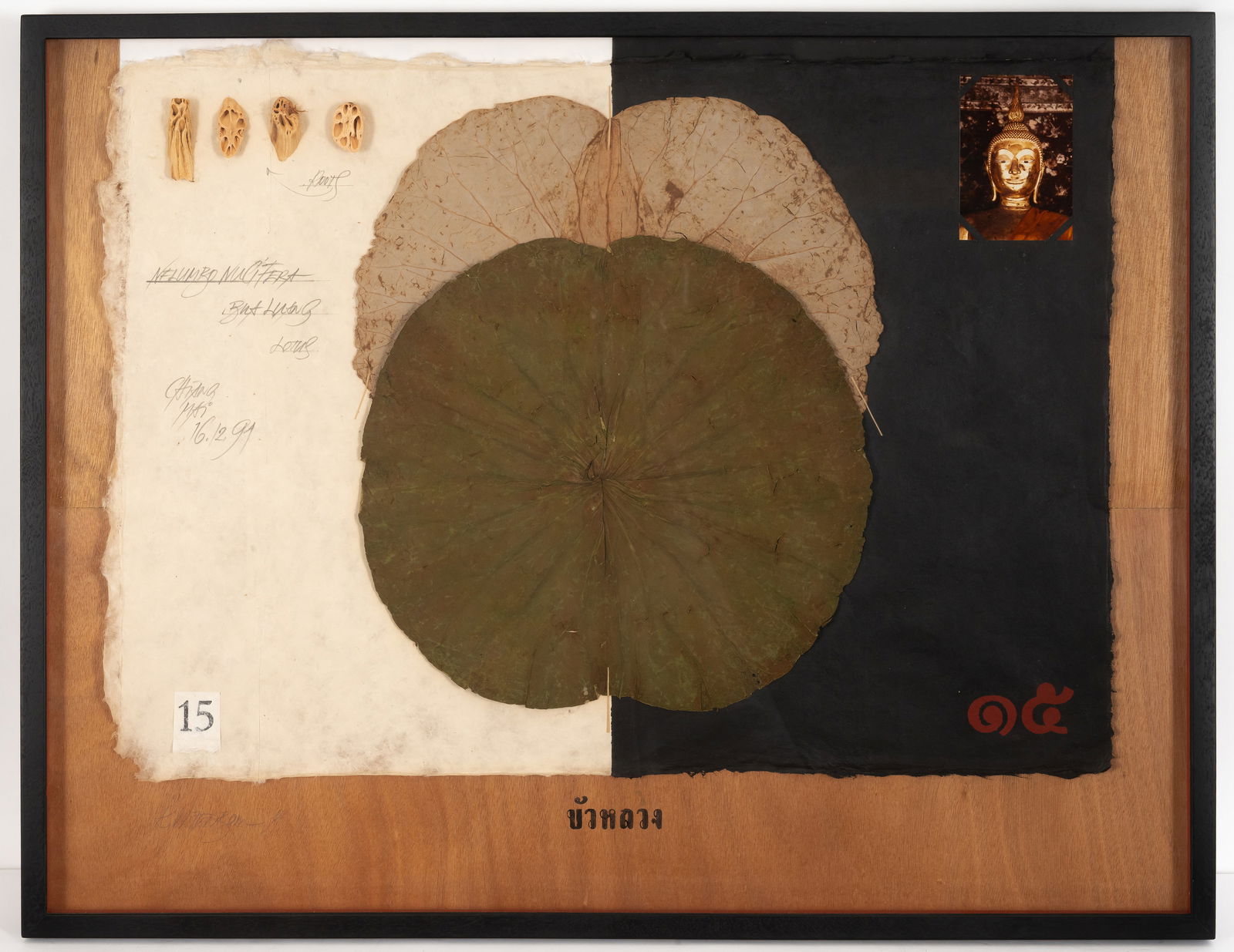 Wittenborn, Rainer - 2