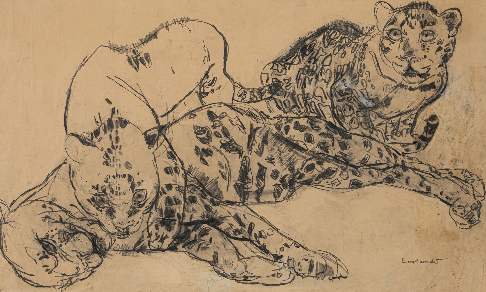 Englaender, Babs: Englaender, Babs Berga, 1922 - Rottach-Egern, 2015 43,5 x 71,5 cm, R. Leopards. Graphite on paper. Signed in graphite lower right. Corporate collection, Bayern.Englaender, Babs Berga, 1922 -