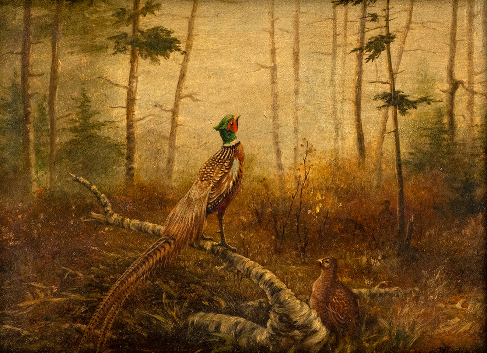 Dudley, Charles: Dudley, Charles 19/20th ct. 18 x 24 cm Pheasants in a hill moor. Oil/panel, signed.Dudley, Charles, 19/20th ct. 18 x 24 cm Fasane im Hochmoor. Öl/Holz, signiert.