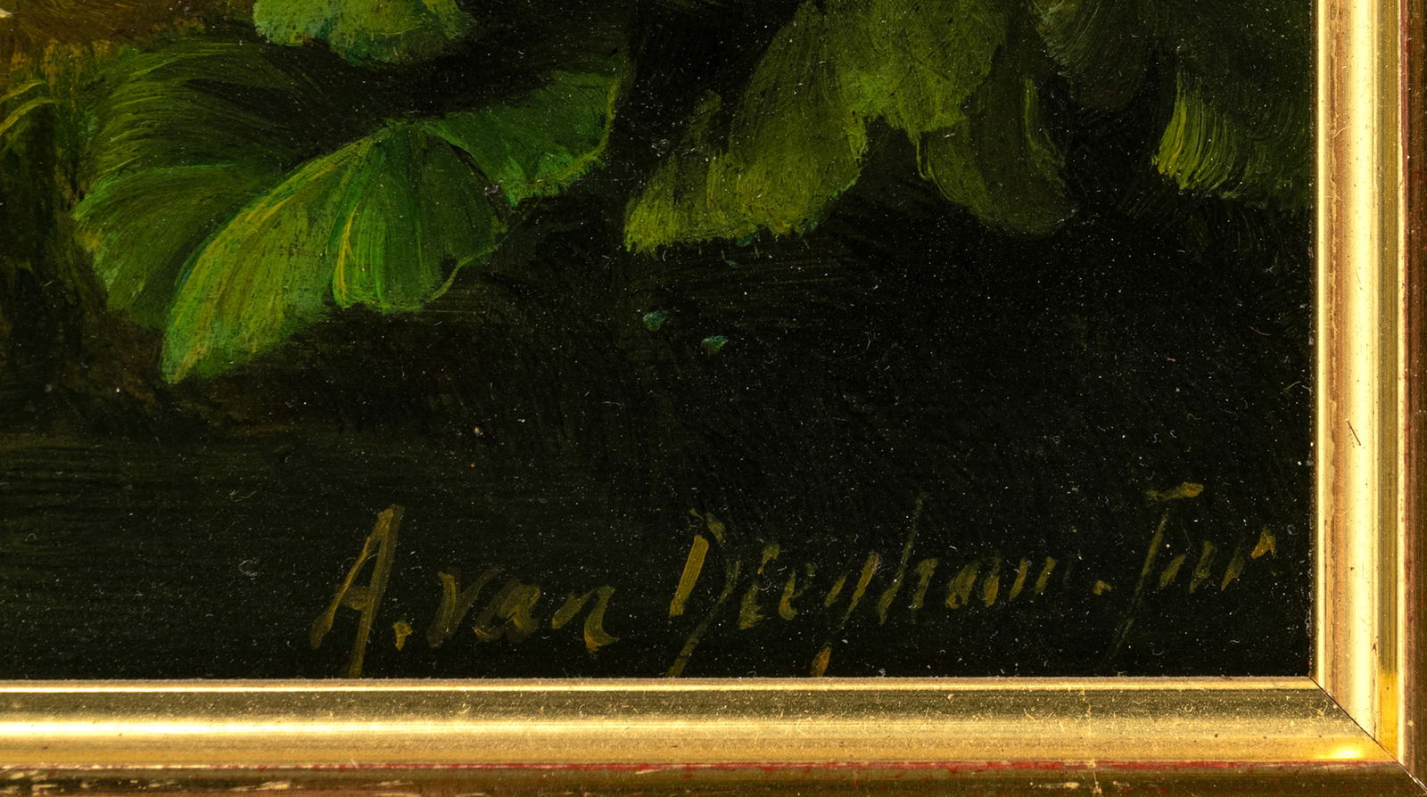 Dieghem, Adrian van - 3