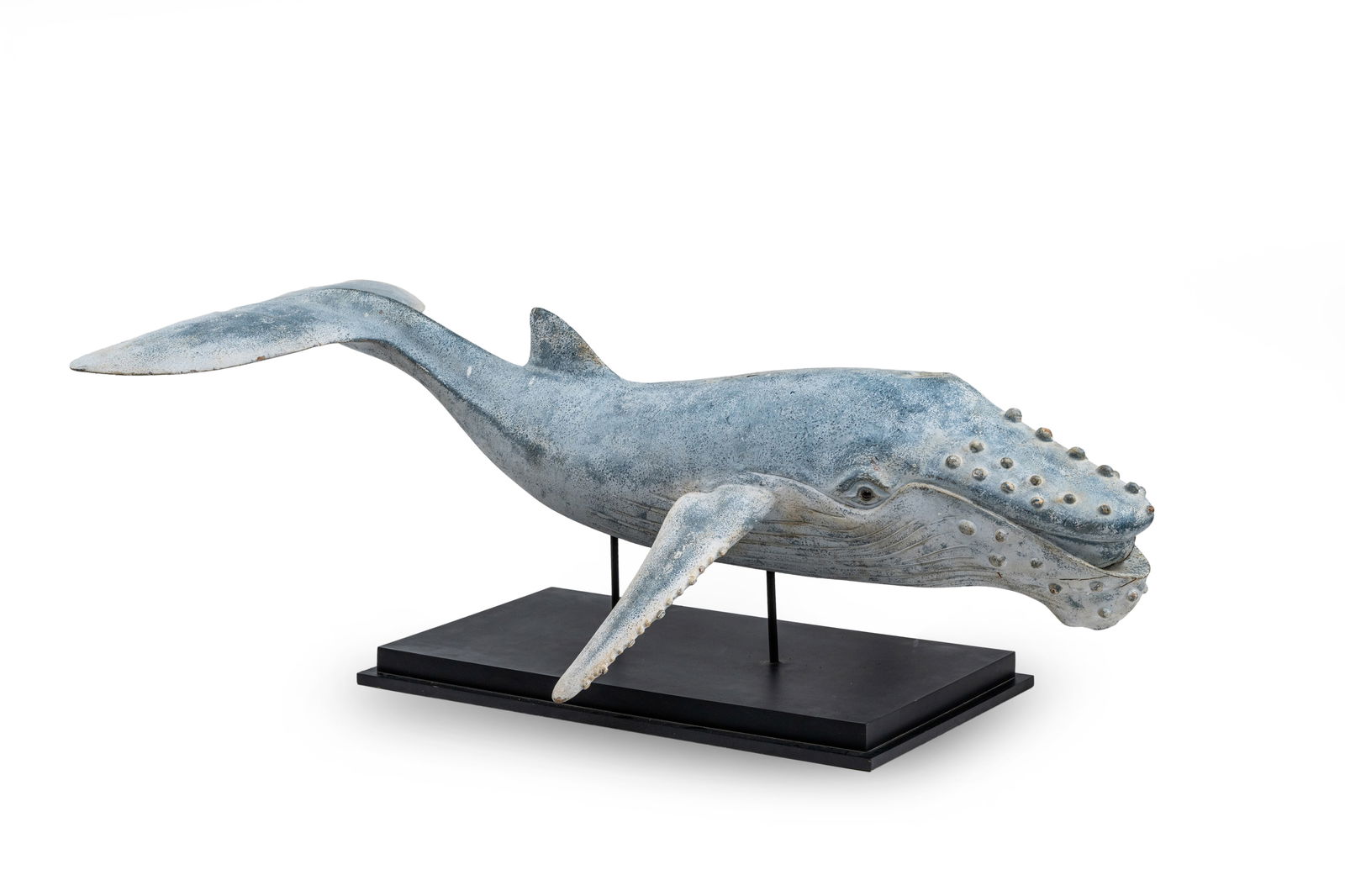 A POLYCHROME PAINTED MODEL OF A HUMPBACK WHALE: A POLYCHROME PAINTED MODEL OF A HUMPBACK WHALE 20th century L. ca. 150 cm With a wooden stand. Damages due to age, wear, minor damages.Modell eines Buckelwals 20. Jhdt. L. ca. 150 cm Gips, bemalt,