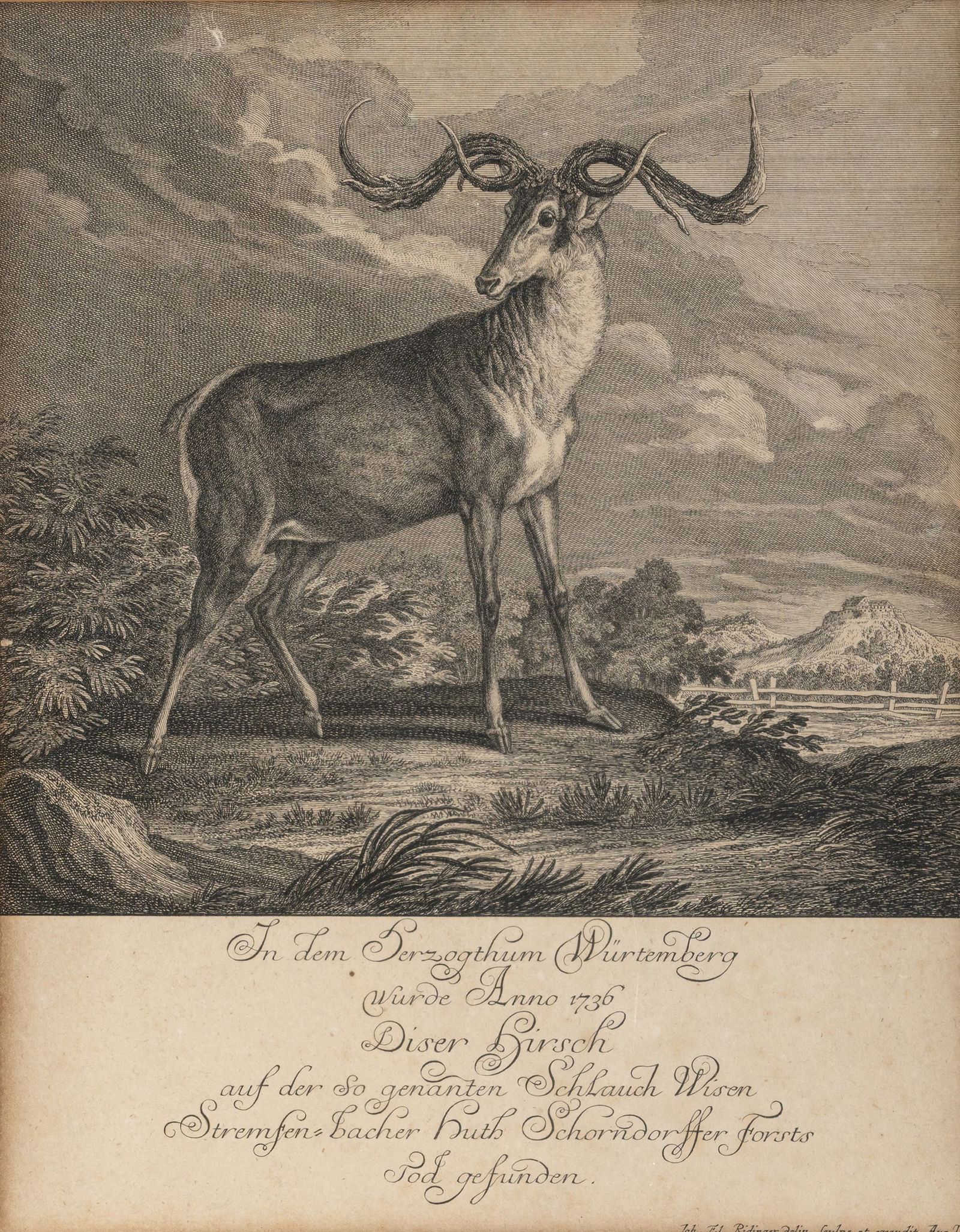 Ridinger, Johann Elias: Ridinger, Johann Elias 1698 - 1767 H. 37/43 cm Two etchings Deer and Roebuck. Two etchings Adam and Eve in Paradise. The Fall of Man. Traces due to age.Ridinger, Johann Elias 1698 - 1767 H. 37/43 cm