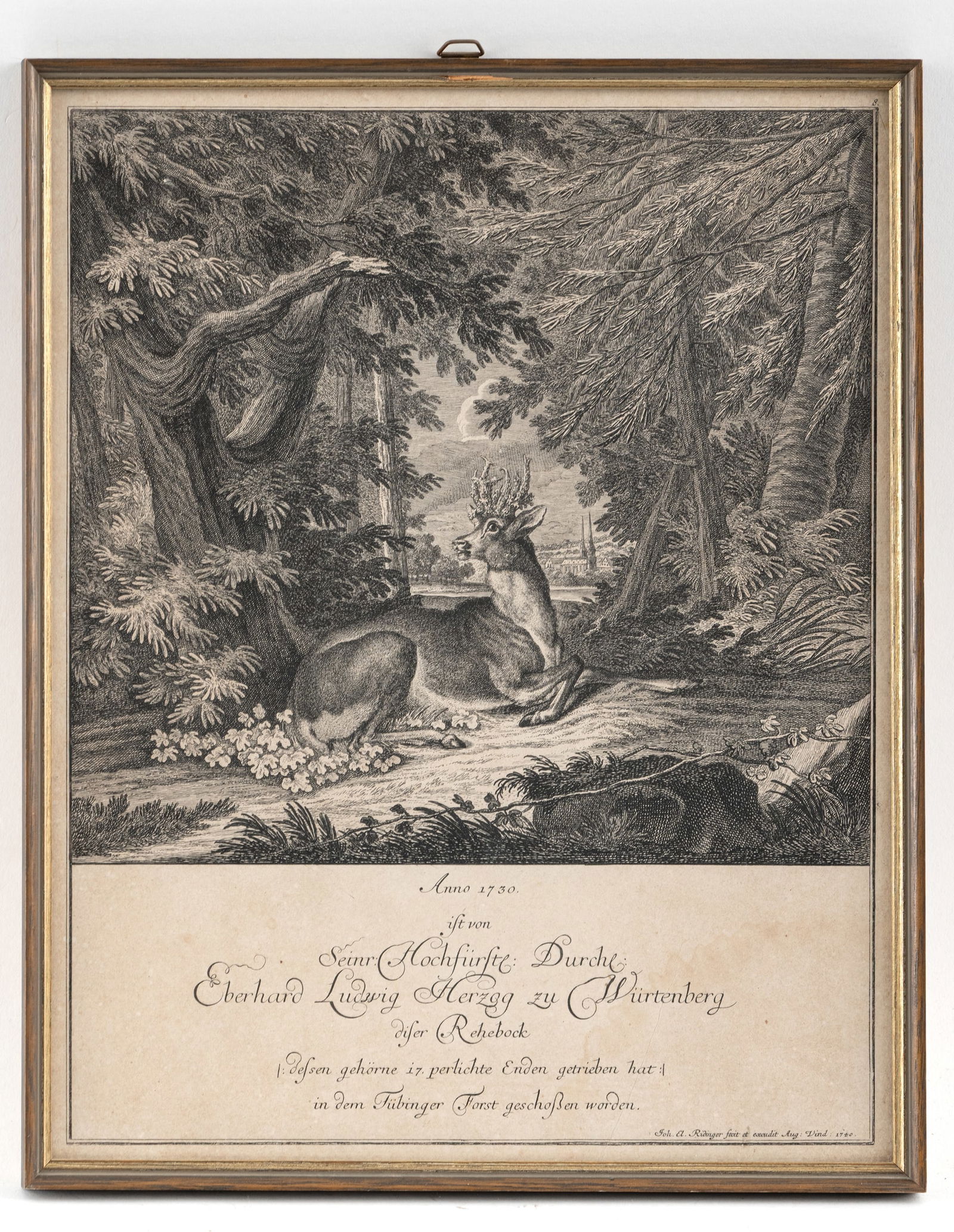 Ridinger, Johann Elias - 3